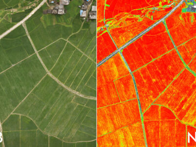 phantom 4 multispectral 5